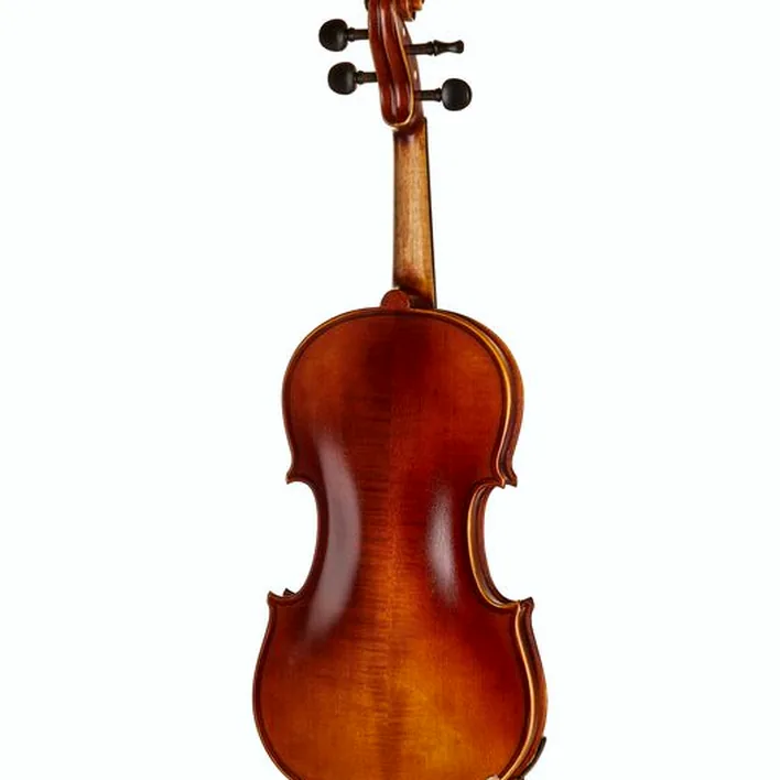 Gewa Allegro Violin Set 4 4 Oc Cb
