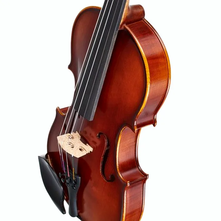 Gewa Allegro Violin Set 4 4 Oc Cb