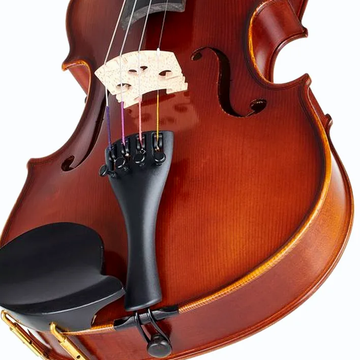Gewa Allegro Violin Set 4 4 Oc Cb