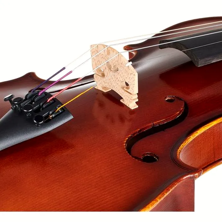 Gewa Allegro Violin Set 4 4 Oc Cb