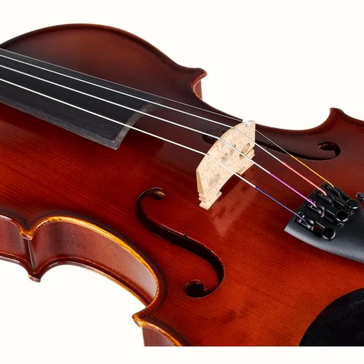 Gewa Allegro Violin Set 4 4 Oc Cb