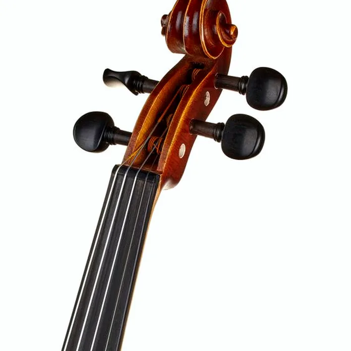 Gewa Allegro Violin Set 4 4 Oc Cb
