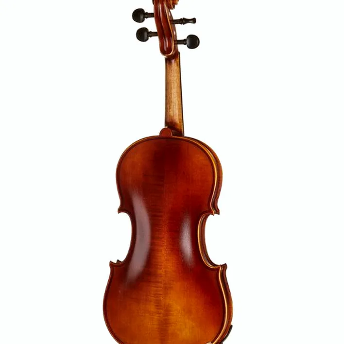 Gewa Allegro Violin Set 4 4 Sc Cb
