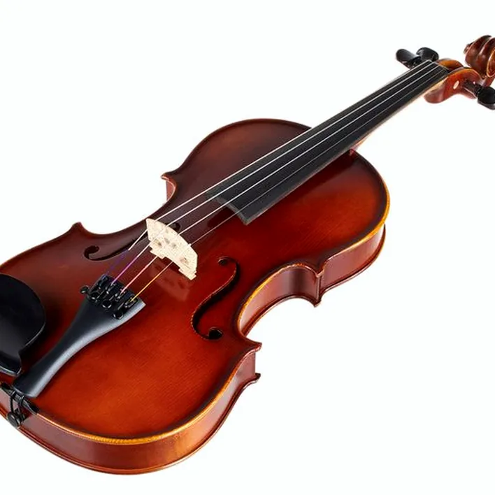 Gewa Allegro Violin Set 4 4 Sc Cb