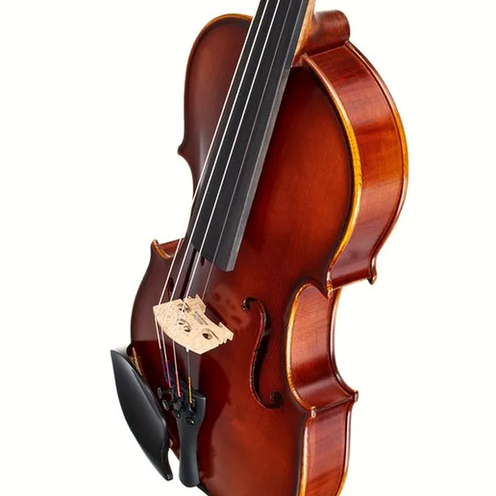 Gewa Allegro Violin Set 4 4 Sc Cb