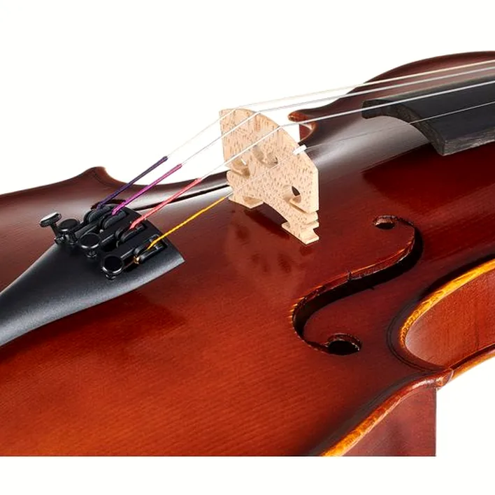 Gewa Allegro Violin Set 4 4 Sc Cb