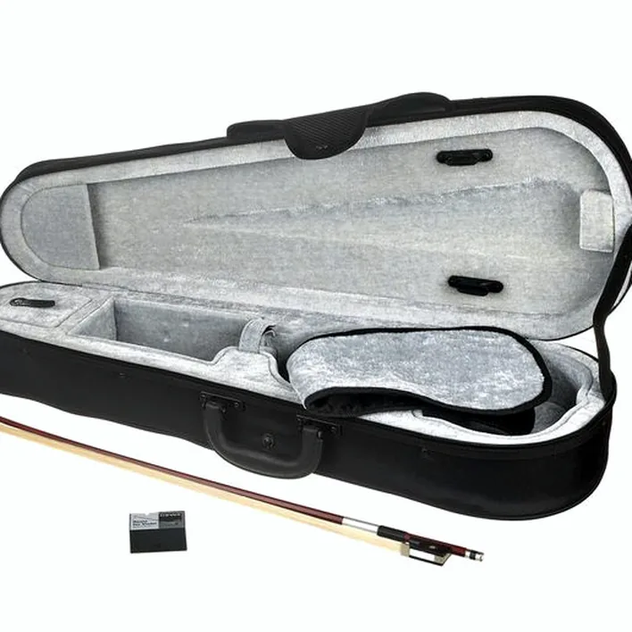 Gewa Allegro Vl1 Violin Set 4 4 Fc