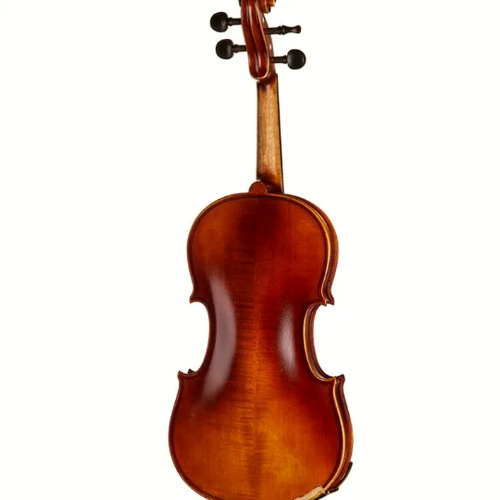 Gewa Allegro Vl1 Violin Set 4 4 Fc