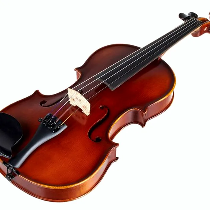 Gewa Allegro Vl1 Violin Set 4 4 Fc