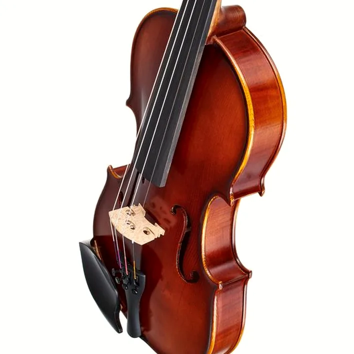 Gewa Allegro Vl1 Violin Set 4 4 Fc