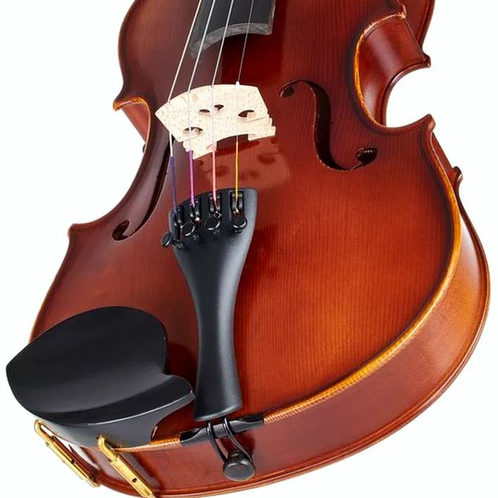 Gewa Allegro Vl1 Violin Set 4 4 Fc