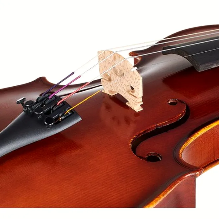 Gewa Allegro Vl1 Violin Set 4 4 Fc