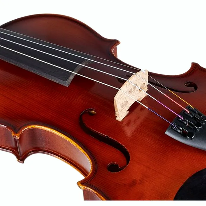 Gewa Allegro Vl1 Violin Set 4 4 Fc