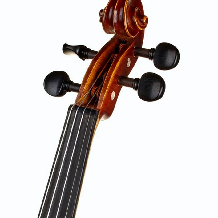 Gewa Allegro Vl1 Violin Set 4 4 Fc