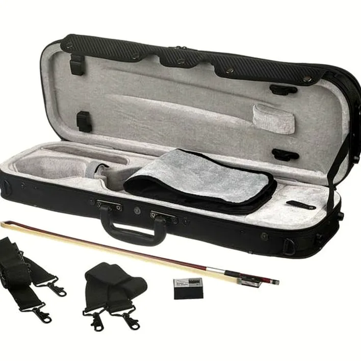 Gewa Allegro Vl1 Violin Set 4 4 Oc