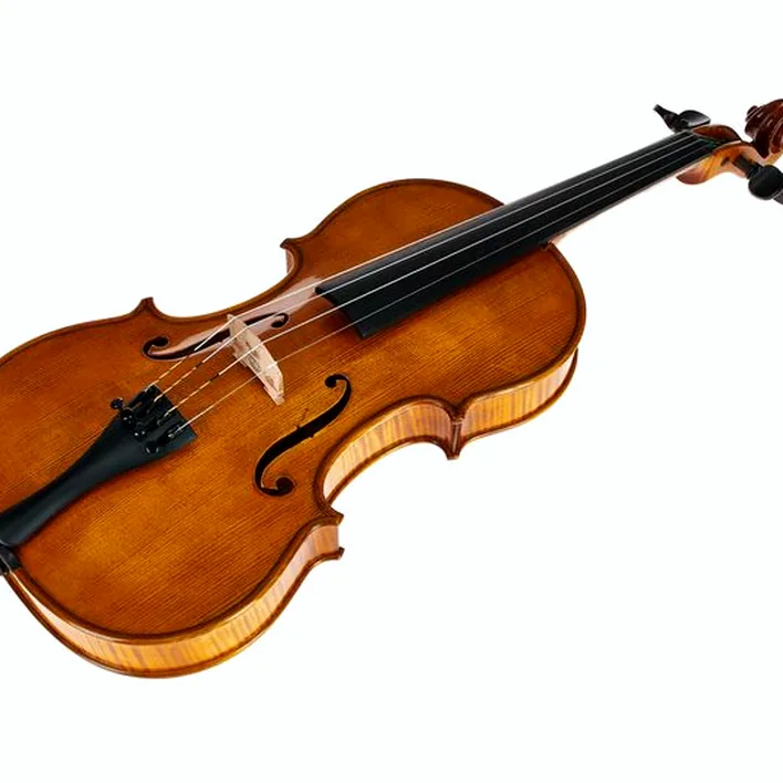 Gewa Georg Walther Violin Gy