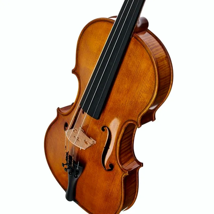 Gewa Georg Walther Violin Gy