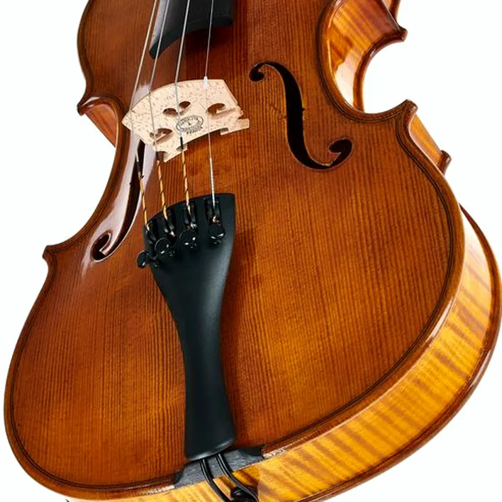 Gewa Georg Walther Violin Gy