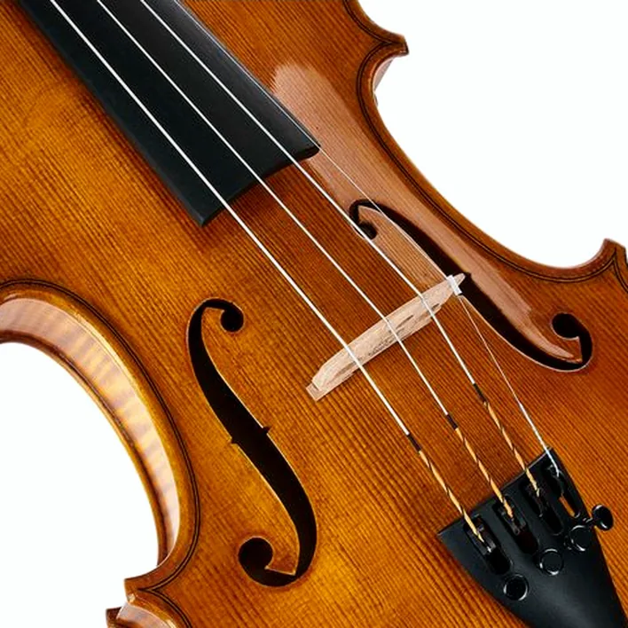 Gewa Georg Walther Violin Gy