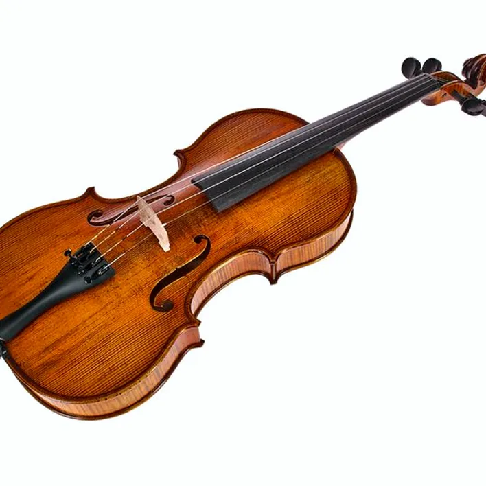 Gewa Georg Walther Violin Gya