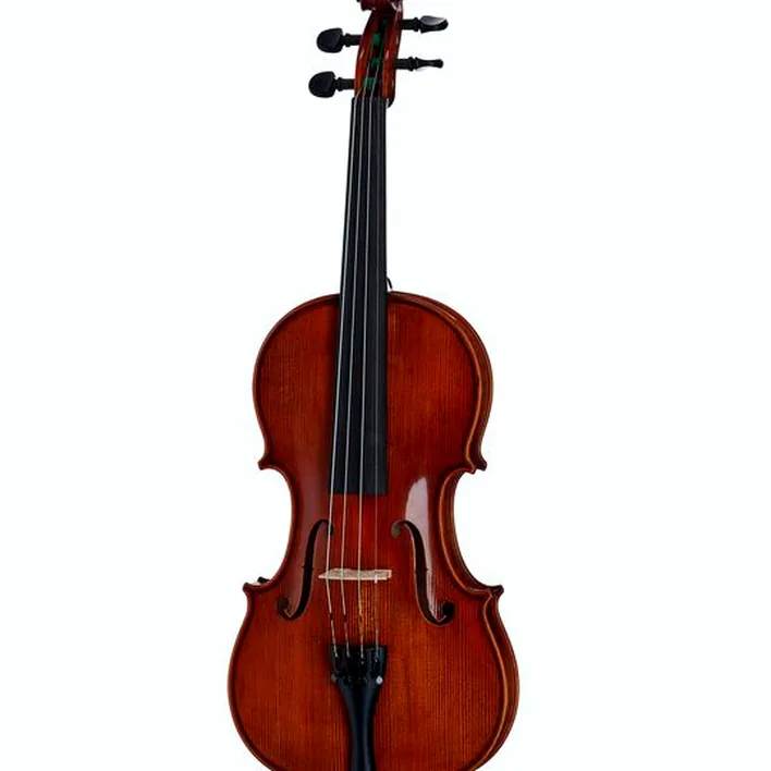 Gewa Georg Walther Violin Rb