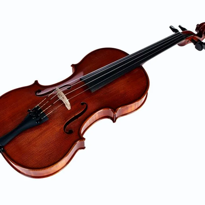 Gewa Georg Walther Violin Rb