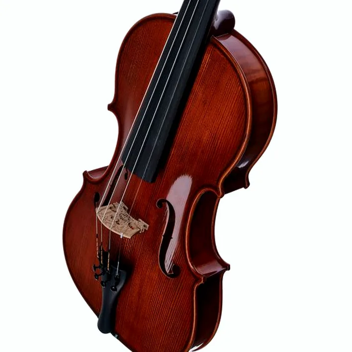 Gewa Georg Walther Violin Rb