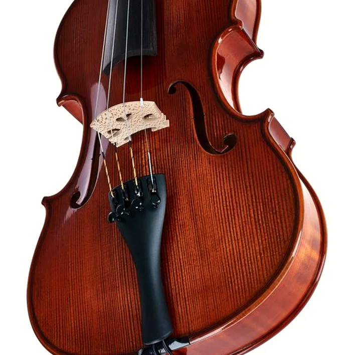 Gewa Georg Walther Violin Rb