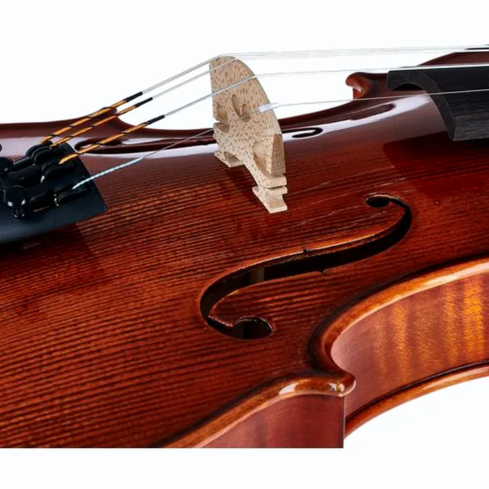 Gewa Georg Walther Violin Rb