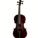 Gewa Germania 11 Paris Ant. Violin Avis : Testé et évalué sans concession par un expert