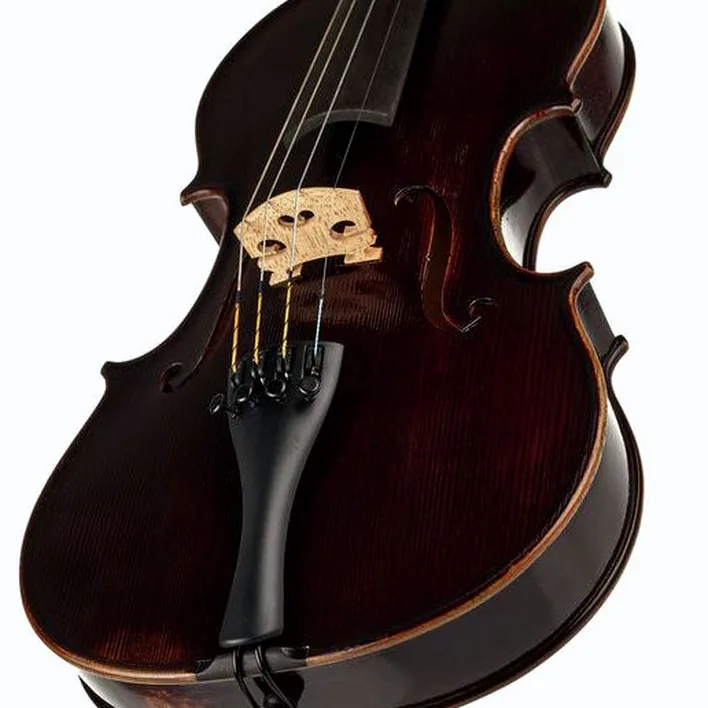 Gewa Germania 11 Paris Ant Violin