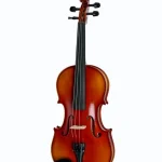 Gewa Ideale Violin Set 4/4 OC CB Avis : Est-ce le choix de la musicalité et de la précision ?
