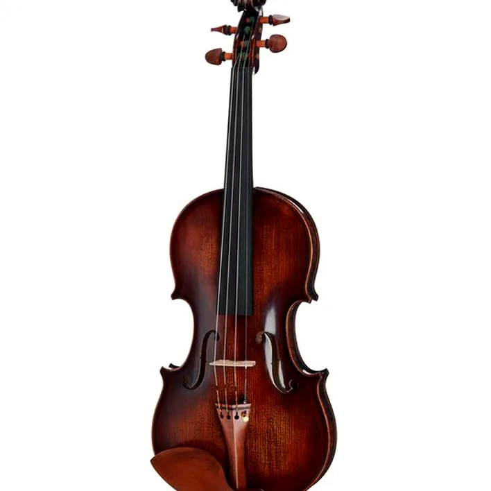 Gewa Le Streghe Stradivari Soloist