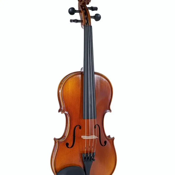 Gewa Maestro 1 Violin 4 4