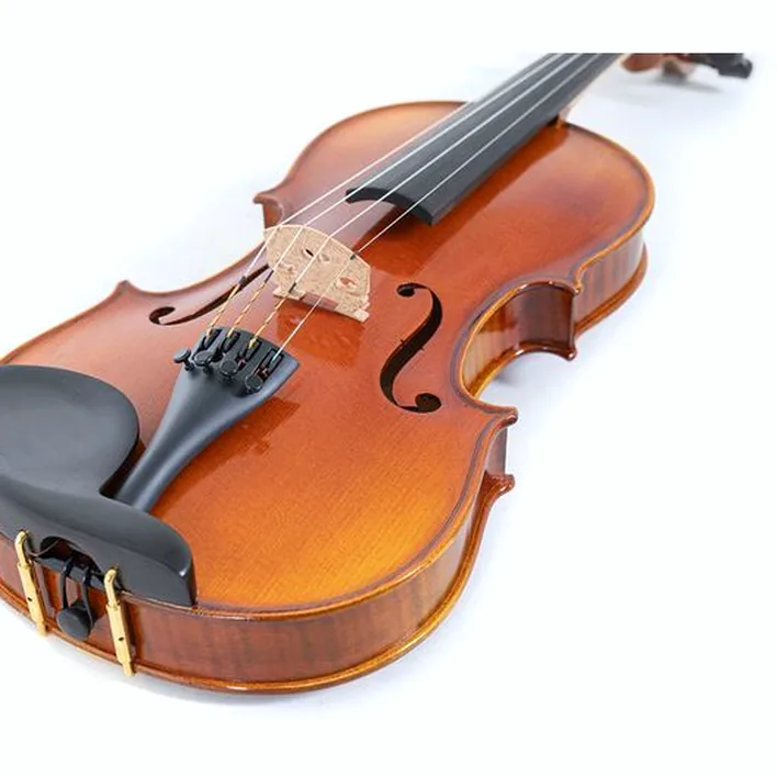 Gewa Maestro 1 Violin 4 4