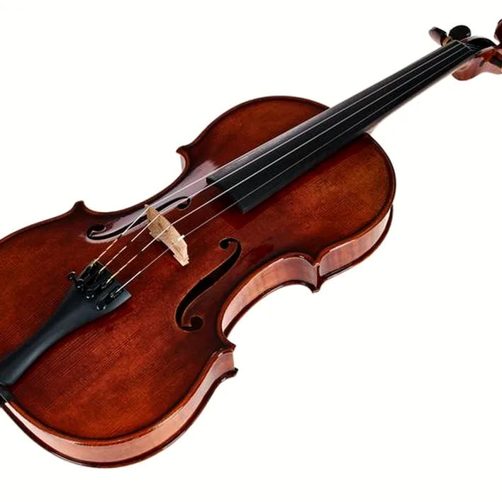 Gewa Maestro 26 Guarneri Violin