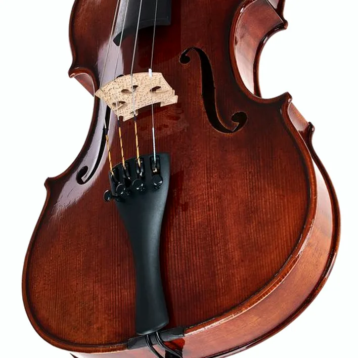 Gewa Maestro 26 Guarneri Violin