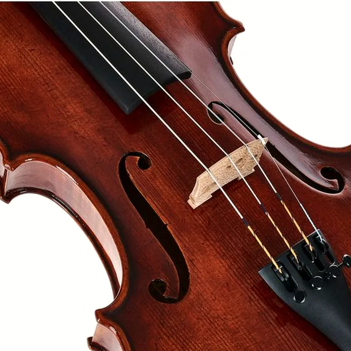Gewa Maestro 26 Guarneri Violin
