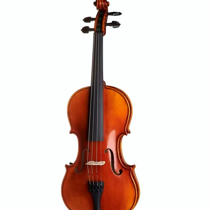 Gewa Maestro 41 Stradivari Violin