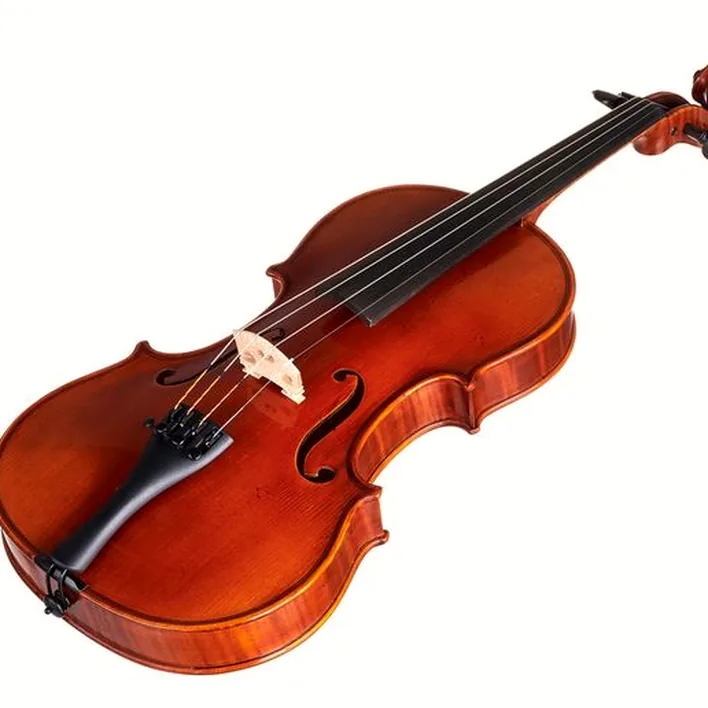 Gewa Maestro 41 Stradivari Violin