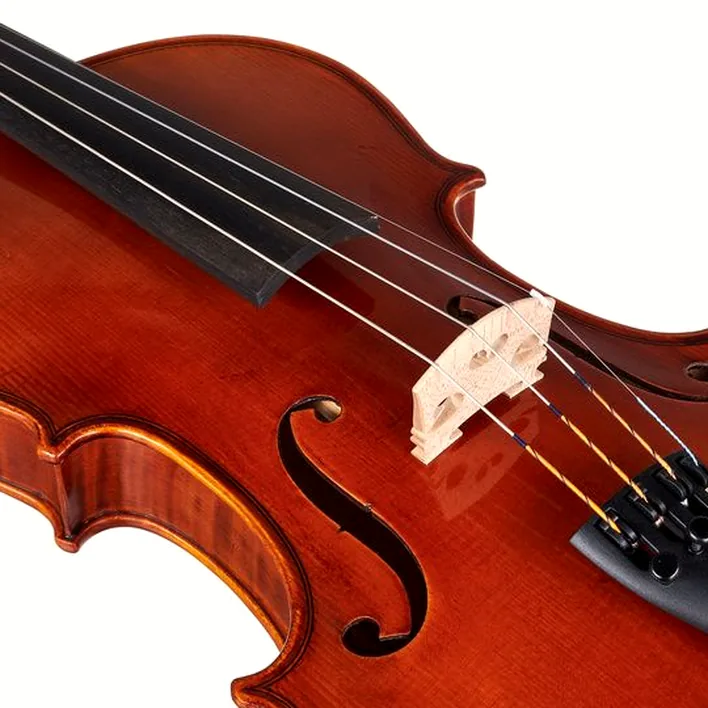 Gewa Maestro 41 Stradivari Violin
