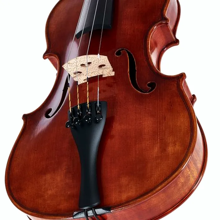 Gewa Maestro 46 Guarneri Violin