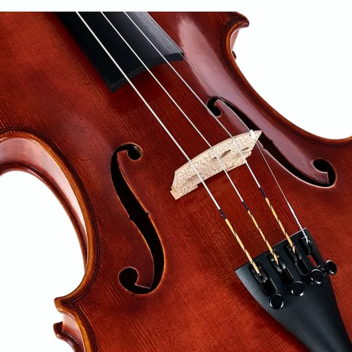 Gewa Maestro 46 Guarneri Violin