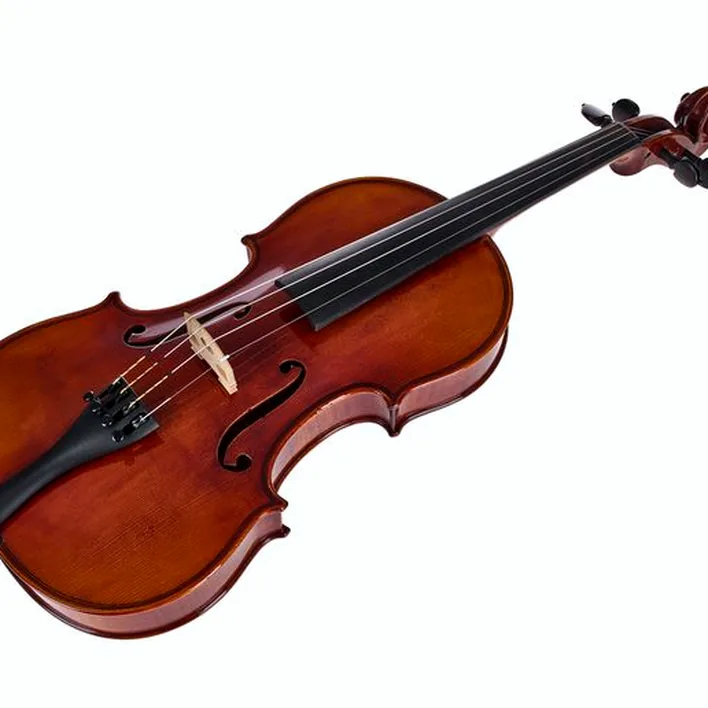Gewa Maestro 51 Guarneri Violin
