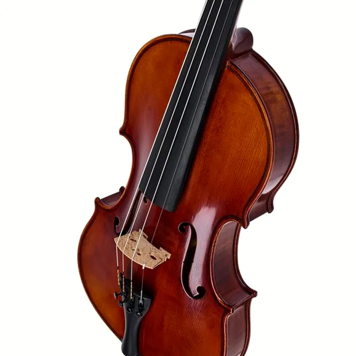 Gewa Maestro 51 Guarneri Violin