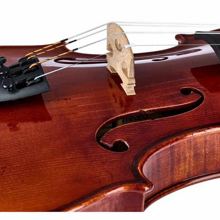 Gewa Maestro 51 Guarneri Violin