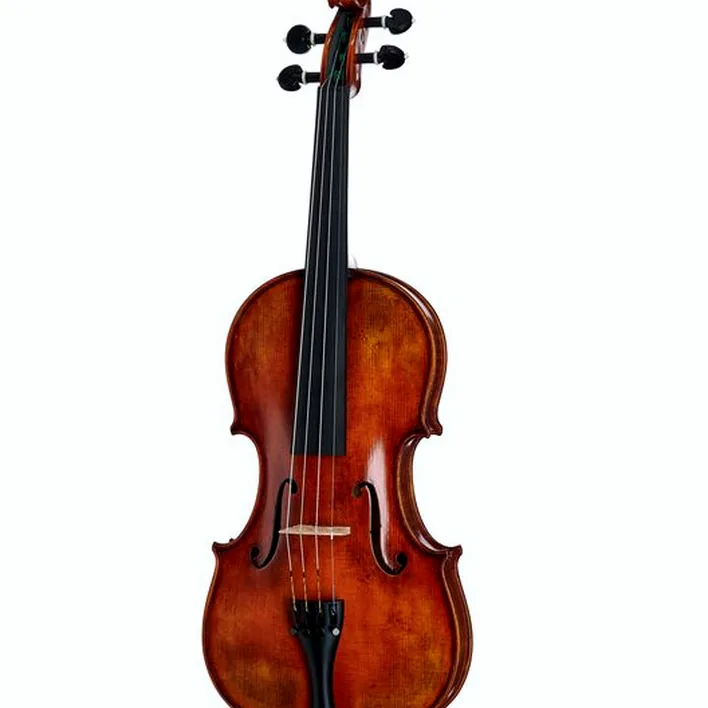 Gewa Maestro 71 Guarneri Violin