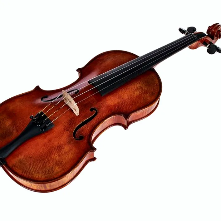 Gewa Maestro 71 Guarneri Violin
