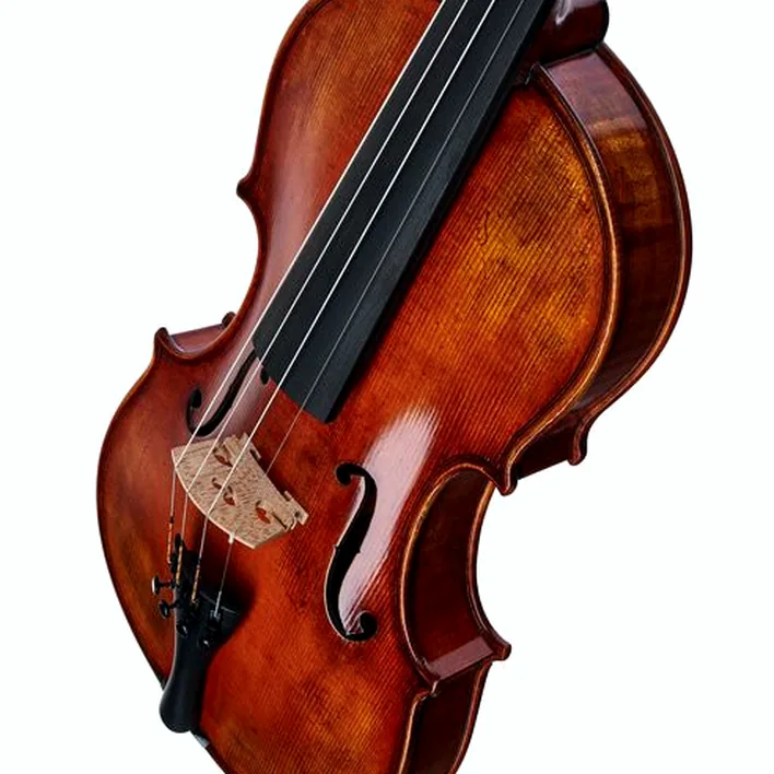 Gewa Maestro 71 Guarneri Violin