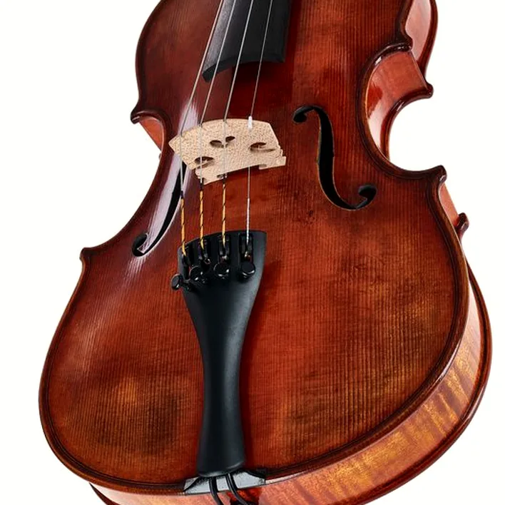 Gewa Maestro 71 Guarneri Violin